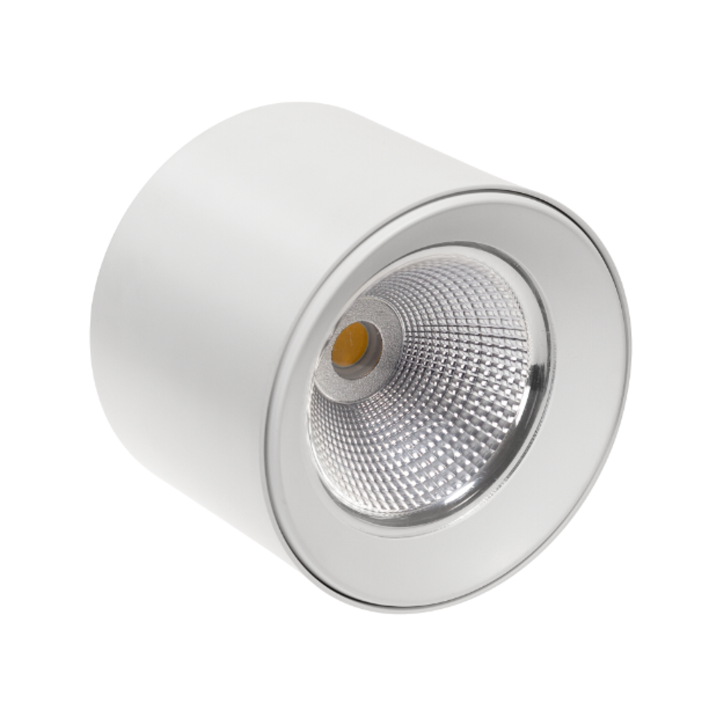 Spectrum LED Plafondspot - Opbouw Downlight - Rond Wit - IP20  Ø169MM - 10W 1450Lm - 3000K 830 Warm Wit  | 40graden Stralingshoek - 169x139mm