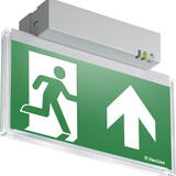 VanLien Noodverlichting: Vluchtwegsignalering  voor de installateur Noodverlichtingsarmatuur Evago Decentraal 2 watt, alu continu opbouw serie Evago + pictogram vluchtroute rechtdoor PP 220/51