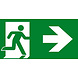 VanLien Noodverlichting: Vluchtwegsignalering  voor de installateur LED Noodverlichtings armatuur Evago Toebehoren | Pictogramplaat vluchtroute Rechts - Type  PP220/52