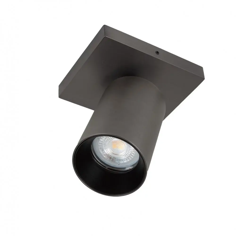 KS VERLICHTING Opbouwspot LYNN 1 - GU10 Fitting - Max. 7,5W LED - 360° Draaibaar & 90° Kantelbaar - Gun Metal - Plafond-/Wandmontage