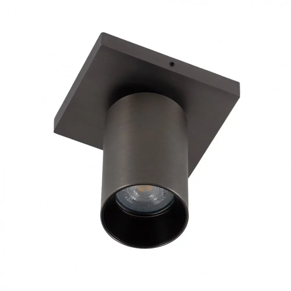 KS VERLICHTING Opbouwspot LYNN 1 - GU10 Fitting - Max. 7,5W LED - 360° Draaibaar & 90° Kantelbaar - Gun Metal - Plafond-/Wandmontage