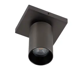 KS VERLICHTING Opbouwspot LYNN 1 - GU10 Fitting - Max. 7,5W LED - 360° Draaibaar & 90° Kantelbaar - Gun Metal - Plafond-/Wandmontage