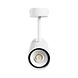 Spectrum voor de installateur LED Opbouwspot - GU10 - MADARA LIBRA - 230V - IP20 - Wit | Exclusief Lichtbron Spectrum voor de installateur LED Opbouwspot - GU10 - MADARA LIBRA - 230V - IP20 - Wit | Exclusief Lichtbron