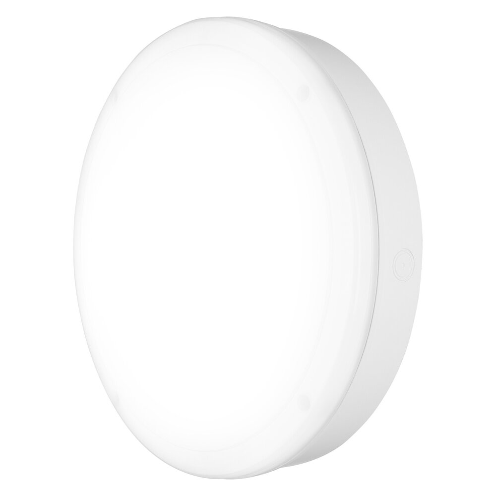 Ledvance Zakelijk: Professionele LED Verlichting & Armaturen  LED Bulkhead Surface 300 Wit 15W 1400lm - 840 Koel Wit | 300mm - IP65