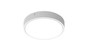 Ledvance Zakelijk: Professionele LED Verlichting & Armaturen | voor de installateur LED DALI Plafond / Wandlamp IP65 - Bulkhead 312MM Wit - 15.5W 2800Lm - 4000K 840 Koel wit | DALI2 Dimbaar