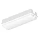 Ledvance Zakelijk: Professionele LED Verlichting & Armaturen LED Bulkhead Compact Wit 8W 840lm - 830 - 840  | 356x115mm - IP65