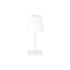 LED line verlichting - Betaalbare Professionele LED Oplossingen LED Tafellamp IP54 – TAZA 3,5W – 400Lm – CCT 3000K/4000K/5000K – Wit – 2x2000mAh Accu – 4in1 LITE | Draagbaar & Oplaadbaar Werklicht voor Binnen/Buiten