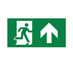 Braytron LED Noodverlichting Pictogram - Exit met pijl omhoog - Sticker