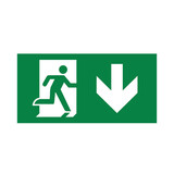 Braytron LED Noodverlichting Pictogram - Exit met pijl naar beneden - Sticker