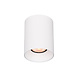 Artdelight Plafondspot Opbouw GU10 - Redondo - Aluminium Wit - IP20 - ØxH: 8×10,5cm