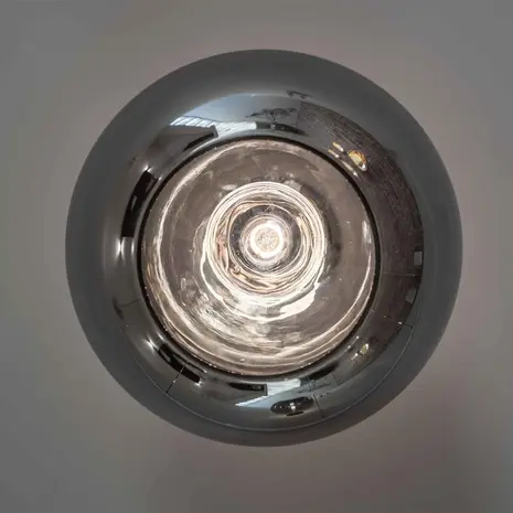 Artdelight LED Hanglamp Pendel E27 - Botany Titan Smoked Spiegelglas - 1-Lichts - 30x18cm | E27 Fitting - HL BOTANY TI