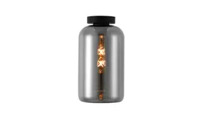 Glas Titan Botany 17,5cm- E27 Kap | Spiegelend Rookglas