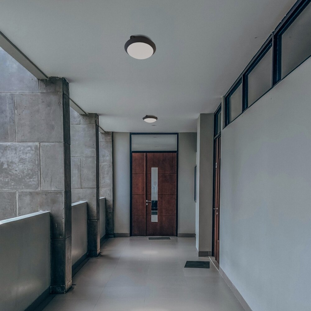 Spectrum voor de installateur LED Opbouwlamp - NYMPHEA OMNI - E27 - IP65 IK08 - Rond - Zwart - Bewegingssensor | Max. 13W LED Spectrum voor de installateur LED Opbouwlamp - NYMPHEA OMNI - E27 - IP65 IK08 - Rond - Zwart - Bewegingssensor | Max. 13W LED