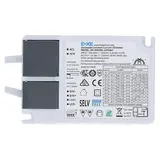 BOKE Dimbare LED Driver 42W 1-10V - Dipswitch 0.45-1.05A Multi Lumen Switch | Female connector - incl. 1.5meter Eurostekker