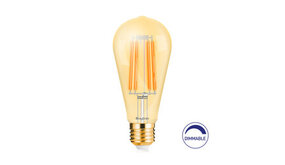 LCB LED Europe  LED Filament lamp dimbaar - E27 ST64 - 6W vervangt 60W - 2200K extra warm wit licht - Tall