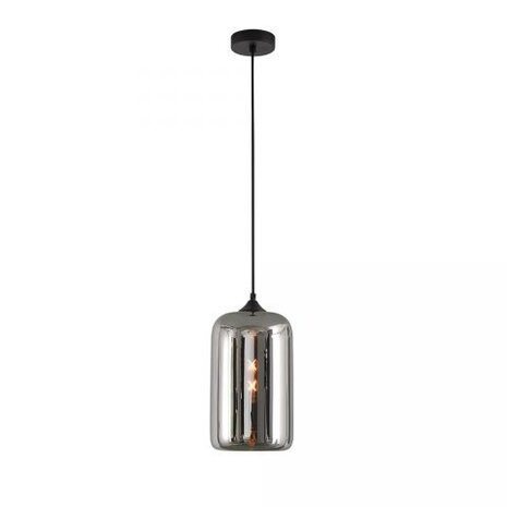 Artdelight LED Hanglamp Pendel E27 - Botany Titan Smoked Spiegelglas - 1-Lichts - 30x18cm | E27 Fitting - HL BOTANY TI