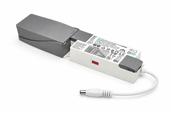 LED Driver - 42-21W 500-1000Am - Multi Lumen Switch | Incl. Male connector - 28-42V DC - Dipswitch - Uitsluitend voor LED Panelen