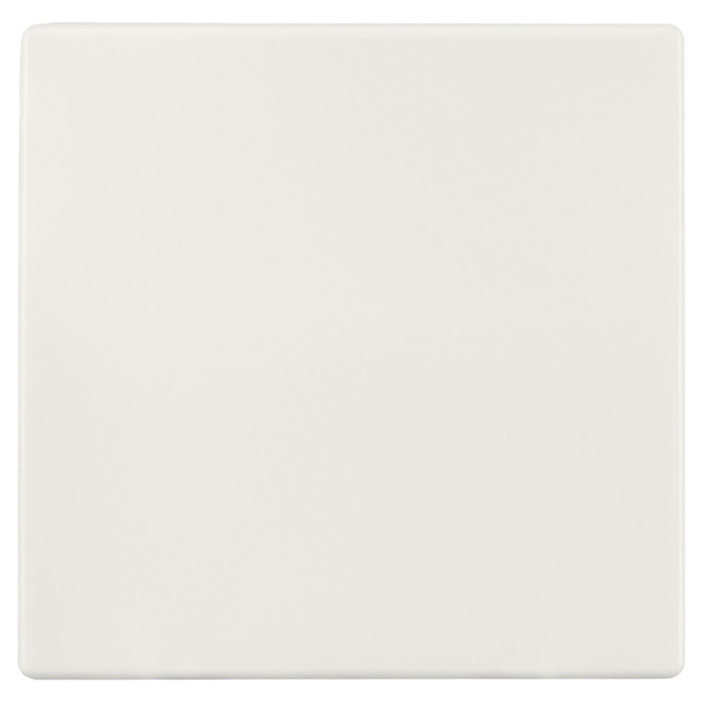 ION INDUSTRIES ION Schakelaar - Bedieningswip Enkel  -  Wissel/kruis/impuls | Alpin Mat Wit - V1/J1 - type 20.300.015