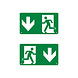 LED Noodverlichting armatuur Toebehoren - Pictogram vluchtroute aanduiding | Pijl Omlaag - Down