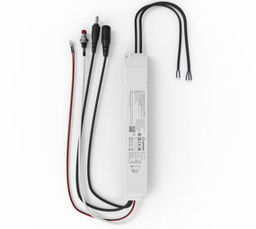 Ledvance Zakelijk: Professionele LED Verlichting & Armaturen Emergency Kit Compleet - Decentrale noodunit met accu |  Zelftest functie -  Geschikt voor  Relighting module