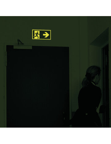 Permalight Nood vluchtweg Pictogram - Foto fluorescerend | Pijl Rechts  - aluminium - E002 400 x 200 mm