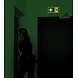 Permalight Nood vluchtweg Pictogram - Foto fluorescerend | Pijl Links - aluminium - E001 400 x 200 mm
