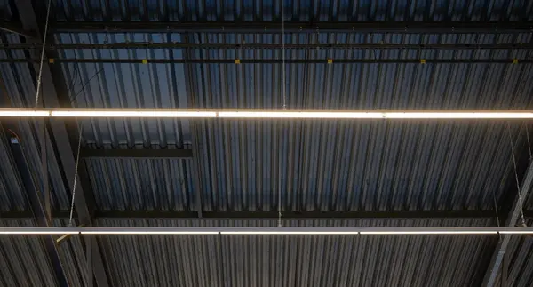 Dimbare DALI Lichtlijn 150cm - PADEL PRO SIRIUS - 55-70W | 11.000-14.000 Lumen | Multi Lumen Switch | 3CCT | IK08 Balvast | DALI-2 DIM | 90D | 10 Jaar Garantie