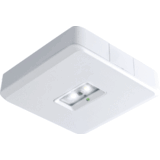 VanLien Noodverlichting: Vluchtwegsignalering  voor de installateur Noodverlichtingsarmatuur Evago Decentraal 2 watt wit continu opbouw led armatuur, inclusief automatische zelf- diagnose, serie Evago