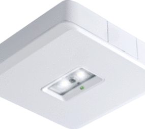 VanLien Noodverlichting: Vluchtwegsignalering  voor de installateur Noodverlichtingsarmatuur Evago Decentraal 2 watt wit continu opbouw led armatuur, inclusief automatische zelf- diagnose, serie Evago