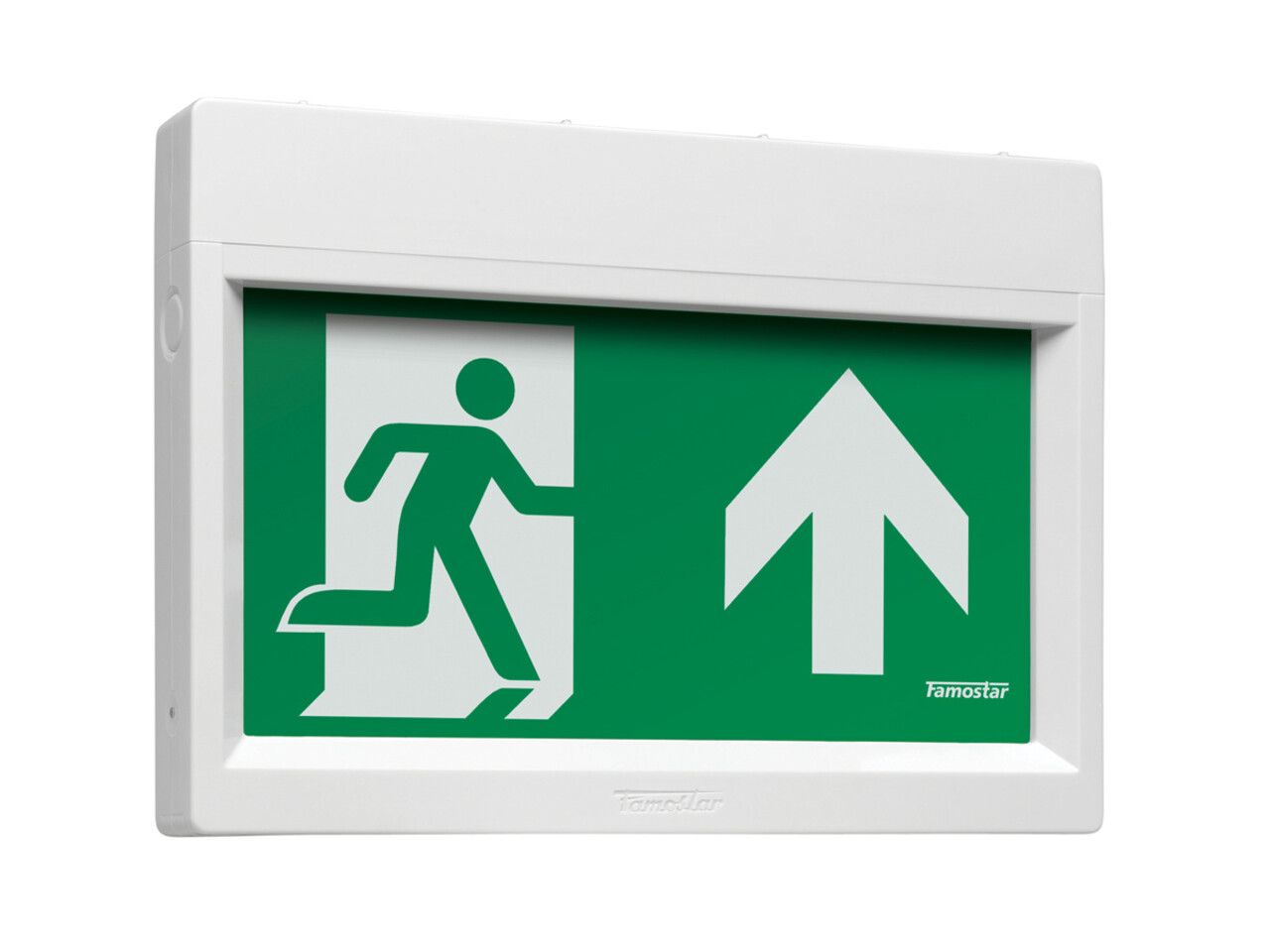 Famostar LED Noodverlichting Armatuur IP40 - WPA GO! - 1W - 5000K Koel Wit | Zelf test - NiMH - Decentraal - Type Wand Opbouw