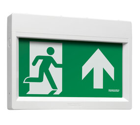 Famostar LED Noodverlichting Armatuur IP40 - WPA GO! - 1W - 5000K Koel Wit | Zelf test - NiMH - Decentraal - Type Wand Opbouw