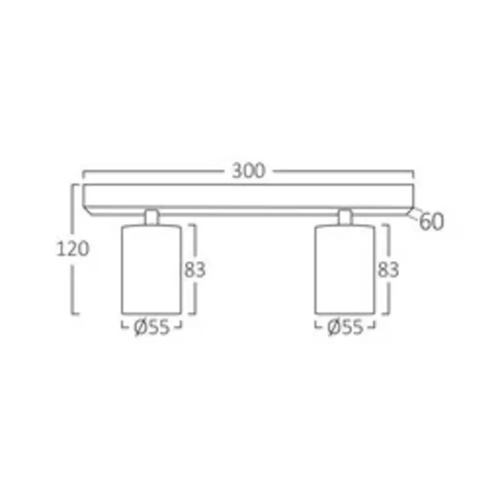 Braytron LED Plafondspot Beta - 2x GU10 fitting - 300x120mm - Goud