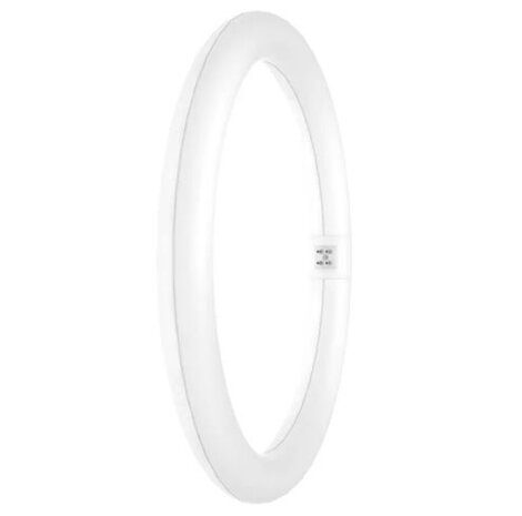 Ledvance Zakelijk: Professionele LED Verlichting & Armaturen | voor de installateur LEDVANCE LED T9 cirkelbuis G10q 18,3W 2200lm 4000K vervangt 32W