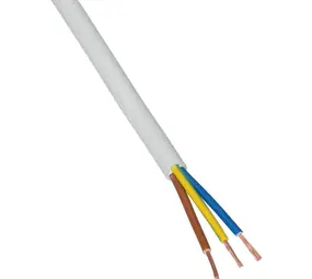 LCB LED Europe  Installatiekabel rond 3x1.5mm² H05VV-F VMVL wit 100 meter