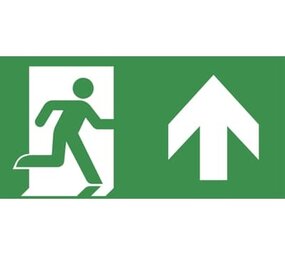 VanLien Noodverlichting: Vluchtwegsignalering  voor de installateur Noodverlichting pictogram rechtdoor omhoog