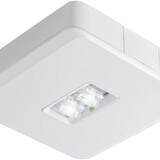 VanLien Noodverlichting: Vluchtwegsignalering  voor de installateur Van Lien Evago noodverlichtingsarmatuur vluchtwegverlichting plafondopbouw wit  IP54