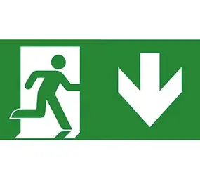 VanLien Noodverlichting: Vluchtwegsignalering  voor de installateur LED Noodverlichtings armatuur Evago Toebehoren | Pictogramplaat vluchtroute Pijl naar Onder / Beneden - Type PP220/58 - 7TCA091350R3950