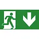 VanLien Noodverlichting: Vluchtwegsignalering  voor de installateur LED Noodverlichtings armatuur Evago Toebehoren | Pictogramplaat vluchtroute Pijl naar Onder / Beneden - Type PP220/58 - 7TCA091350R3950