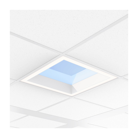 Philips LED Verlichting | Officieel distributeur Dimbaar DALI LED SKY Paneel NatureConnect skylight 75W 6600Lm - TW Tunable White | 60x60cm - Dali-2 Dimbaar - Wieland GST18i5 Philips LED Verlichting | Officieel distributeur Dimbaar DALI LED SKY Paneel NatureConnect skylight 75W 6600Lm - TW Tunable White | 60x60cm - Dali-2 Dimbaar - Wieland GST18i5