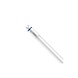 Philips LED Verlichting | Officieel distributeur LED Buis T8 MASTER (EM/Mains) High Output 16.7W 3100lm - 865 Daglicht | 150cm - Vervangt 58W Philips LED Verlichting | Officieel distributeur LED Buis T8 MASTER (EM/Mains) High Output 16.7W 3100lm - 865 Daglicht | 150cm - Vervangt 58W