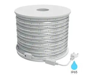 LED Lichtslang - 100m - 220V - 10W 120leds p/m -6000K - IP65-BRT - Incl. aansluitstekker en eindkap LED Lichtslang - 100m - 220V - 10W 120leds p/m -6000K - IP65-BRT - Incl. aansluitstekker en eindkap