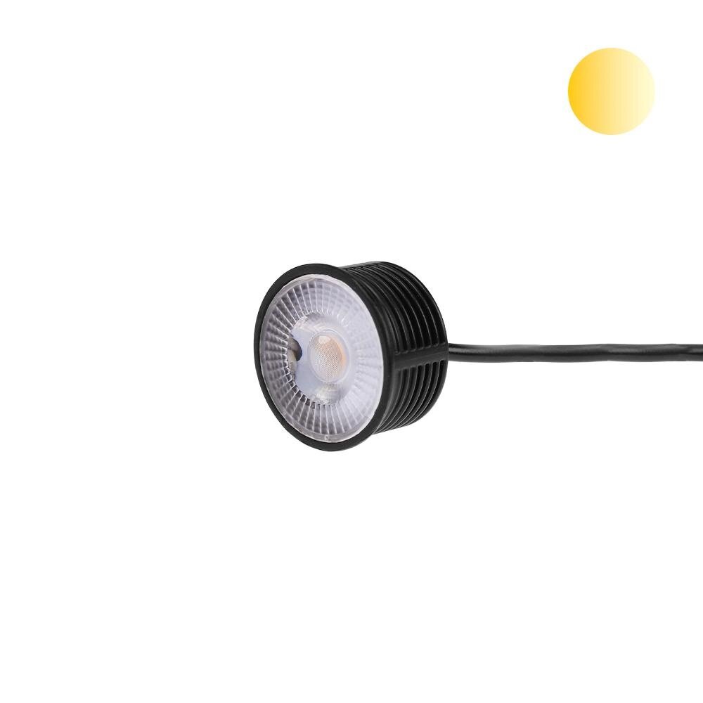 LCB LED Europe LED Spot 50mm Zwart - 5W - Dim to Warm 2000K-2700K - 38° - Extra Laag - 230V LCB LED Europe LED Spot 50mm Zwart - 5W - Dim to Warm 2000K-2700K - 38° - Extra Laag - 230V