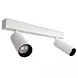 KS VERLICHTING LED Plafondlamp Richtspot VIGO - Wit - 2-Lichts GU10 Fitting | Draaibaar & Kantelbaar - 5 jaar garantie KS VERLICHTING LED Plafondlamp Richtspot VIGO - Wit - 2-Lichts GU10 Fitting | Draaibaar & Kantelbaar - 5 jaar garantie
