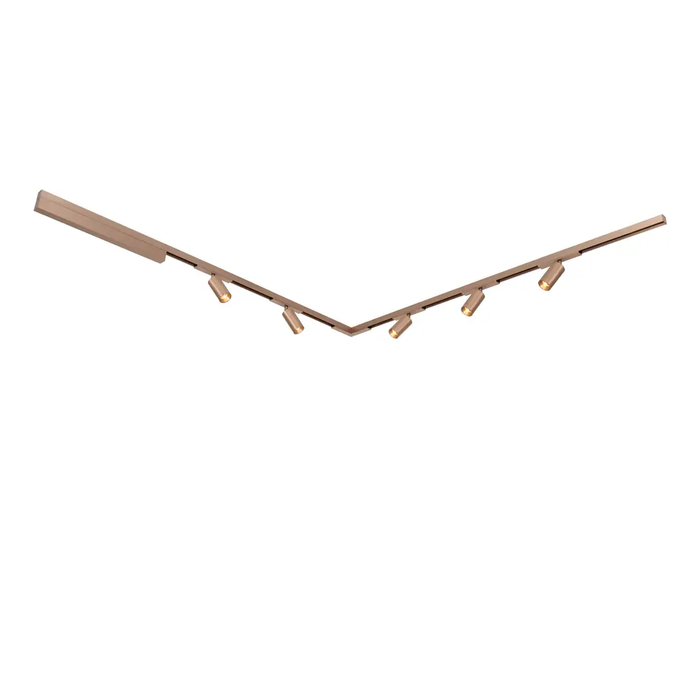 Lucide Lucide Premium LINIAL Opbouwdriver 200W - 1 fase Railsysteem / Railverlichting - Smart - 48V Track - Champagne Lucide Lucide Premium LINIAL Opbouwdriver 200W - 1 fase Railsysteem / Railverlichting - Smart - 48V Track - Champagne