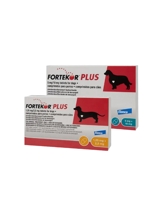 Fortekor Plus Hund Tabletten | Diermedicatie.nl/de/ -