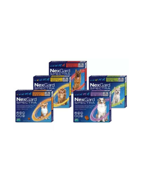 Frontpro Hund | Kautablette Gegen Flhe/Zecken | Diermedicatie.nl/de - Diermedicatie.nl