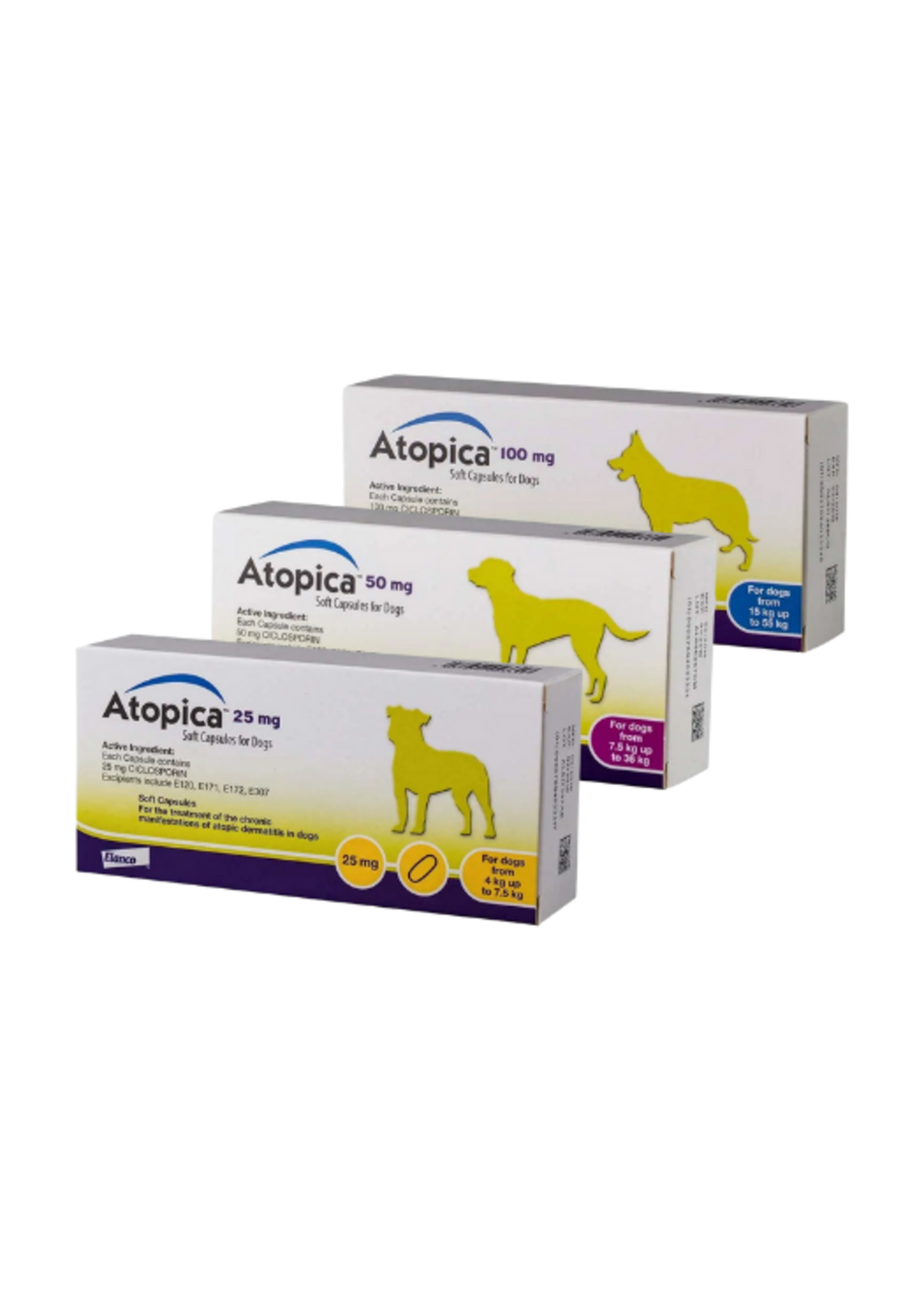 Atopica Hond | Capsules bij chronische atopische dermatitis