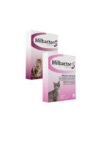 Milbactor | Kat & Kitten