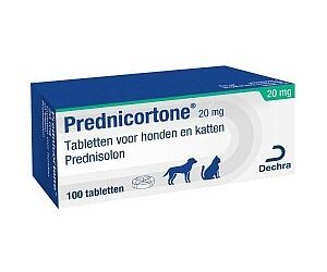 Prednisolon 20mg Kaufen