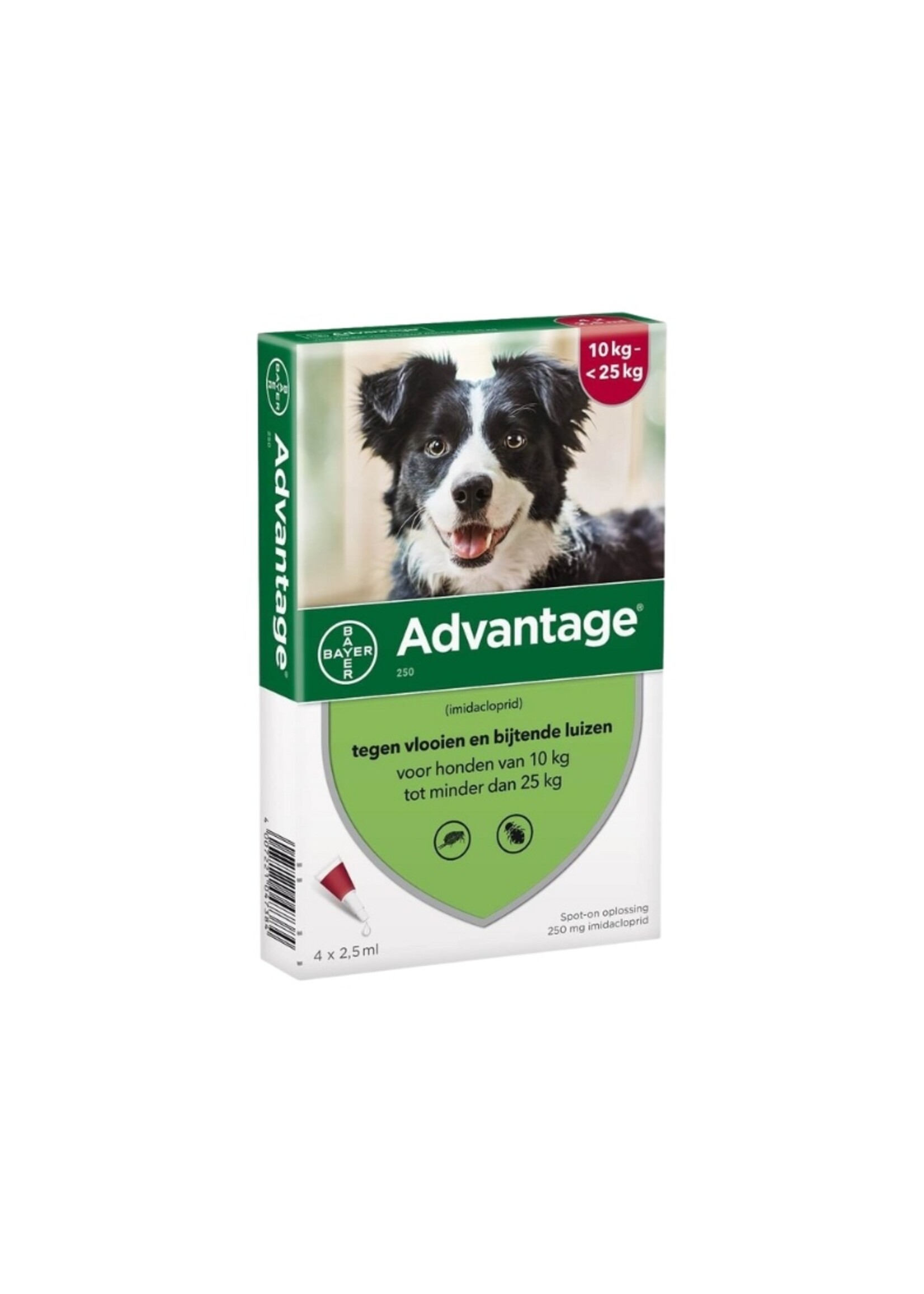 Advantage Advantage | Spot-on für Hunde gegen Flöhe